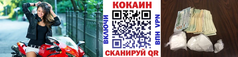Купить где Вязники COCAIN Fish Scale